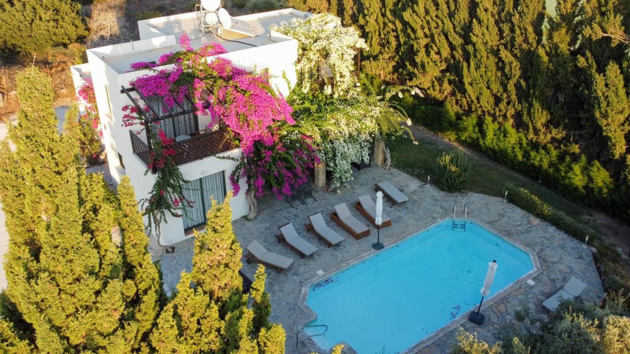 Banana Sunset Villas Paphos Exteriör bild