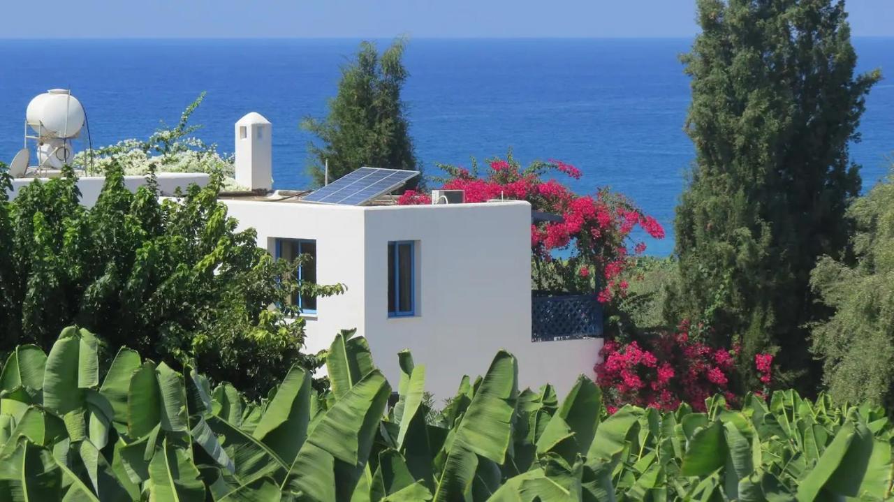 Banana Sunset Villas Paphos Exteriör bild