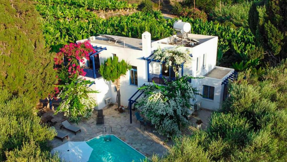 Banana Sunset Villas Paphos Exteriör bild