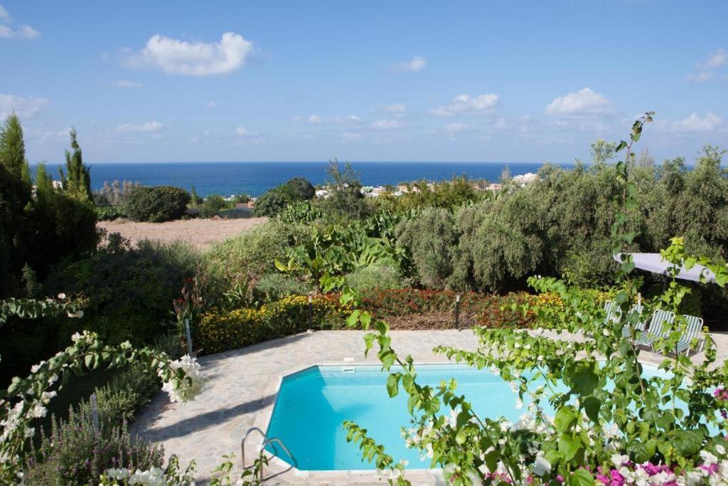 Banana Sunset Villas Paphos Exteriör bild